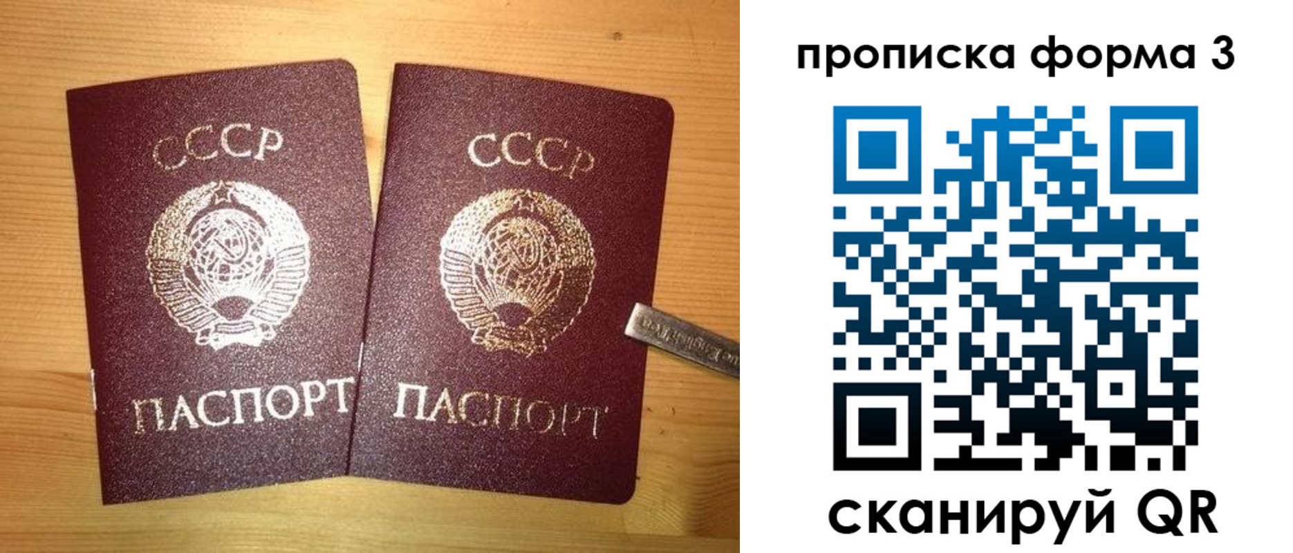 прописка иностранных граждан в Заринске